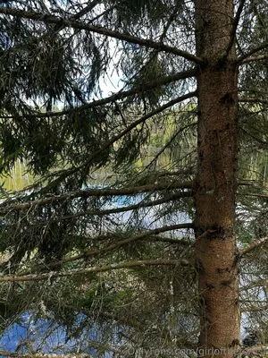 Girloftheforest OnlyFans Leaked Free Thumbnail Picture - #5P5y58rToT