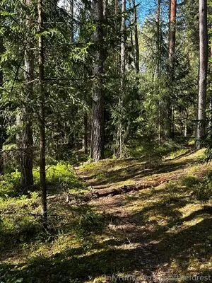 Girloftheforest OnlyFans Leaked Free Thumbnail Picture - #I3MbWRk5P3