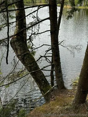 Girloftheforest OnlyFans Leaked Free Thumbnail Picture - #sqSedltxaN