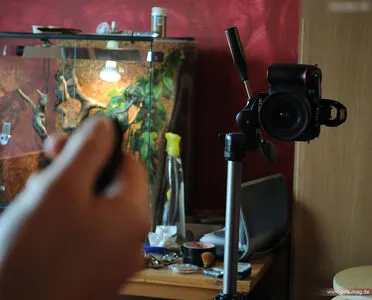 Girls Magazine OnlyFans Leaked Free Thumbnail Picture - #dIJXgHfhAG