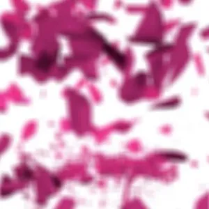 Girlsrimming OnlyFans Leaked Free Thumbnail Picture - #2rIKF9JQjq