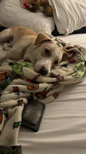 Glizzycatcher OnlyFans Leaked Free Thumbnail Picture - #jGmdwktWxf