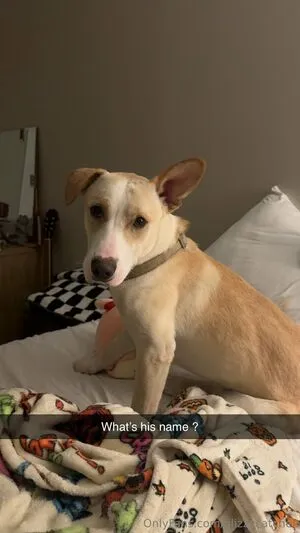 Glizzycatcher OnlyFans Leaked Free Thumbnail Picture - #l3ACPkzpt6