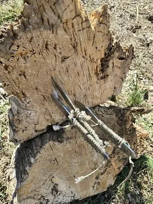 Gnarlymarbles OnlyFans Leaked Free Thumbnail Picture - #DYV6onsfK3