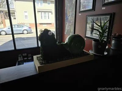 Gnarlymarbles OnlyFans Leaked Free Thumbnail Picture - #KyOGbV2sS7