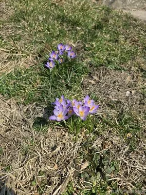 Gnarlymarbles OnlyFans Leaked Free Thumbnail Picture - #UEF8q25XTS