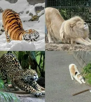 Goddessbendis2 OnlyFans Leaked Free Thumbnail Picture - #51jvo2H4S6