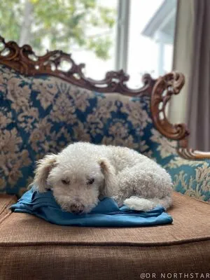 Goddessemberz OnlyFans Leaked Free Thumbnail Picture - #HQB3DlC7fM