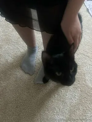 Gothgamergirly OnlyFans Leaked Free Thumbnail Picture - #7p4cW4SDF5