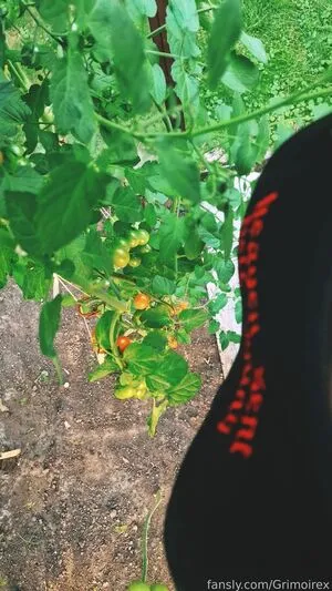 Grimoirex OnlyFans Leaked Free Thumbnail Picture - #LvSfQrSOFw