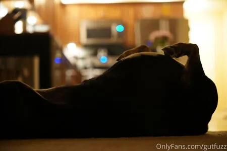 Gutfuzz OnlyFans Leaked Free Thumbnail Picture - #aQByKNTTPc