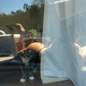 Gwenny2 OnlyFans Leaked Free Thumbnail Picture - #H2GyJRd0CD