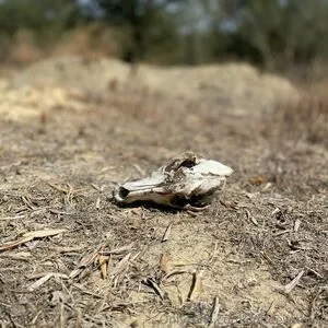 Gwithg OnlyFans Leaked Free Thumbnail Picture - #hhXEpnAD9P