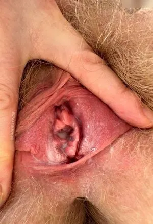 Hairyblondie OnlyFans Leaked Free Thumbnail Picture - #B5lt3JOBrR