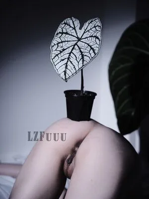 Haiyangself1 OnlyFans Leaked Free Thumbnail Picture - #wgFWGUjf3r