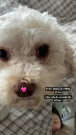 Hanni Pham OnlyFans Leaked Free Thumbnail Picture - #aRIjGGQvtn