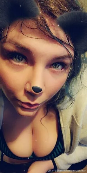 Harleymaekitten OnlyFans Leaked Free Thumbnail Picture - #4XAd7dE0Ng
