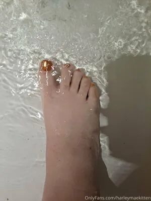 Harleymaekitten OnlyFans Leaked Free Thumbnail Picture - #imrUKCLTP2