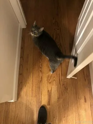 Harpermadi OnlyFans Leaked Free Thumbnail Picture - #QD730HomsK