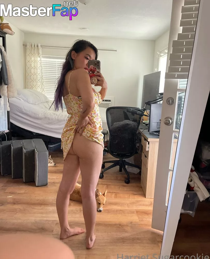 Harriet Sugarcookie Nude OnlyFans Leak Picture #9mKkCqj8LK | MasterFap.net