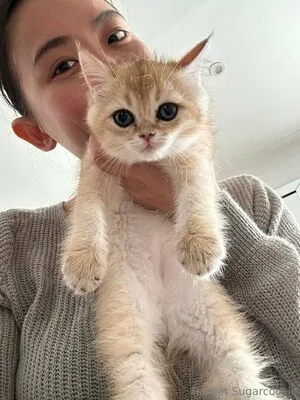 harrietsugarcookie OnlyFans Leaked Free Thumbnail Picture - #OjTwJwVQgK