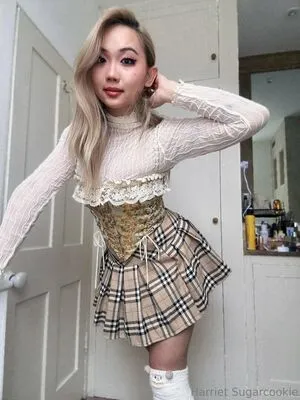 harrietsugarcookie OnlyFans Leaked Free Thumbnail Picture - #fFeBsOa7e8