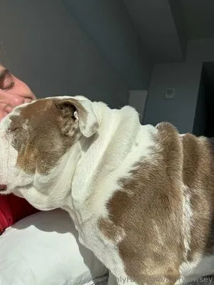 Harryjowsey OnlyFans Leaked Free Thumbnail Picture - #sSpb9bIGM4