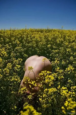 Harvest OnlyFans Leaked Free Thumbnail Picture - #iheyT3csAQ