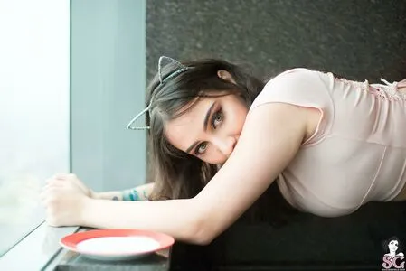 Haub Suicide OnlyFans Leaked Free Thumbnail Picture - #nPUcQWQird