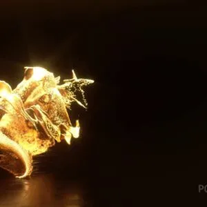 Hayek Twins OnlyFans Leaked Free Thumbnail Picture - #XW44sSmuvp