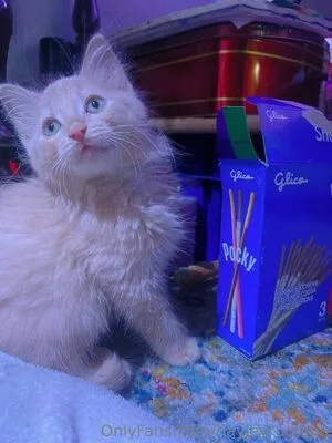 Hayleyrudolph OnlyFans Leaked Free Thumbnail Picture - #nqxhSLTDeP