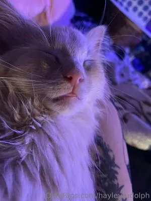 Hayleyrudolph OnlyFans Leaked Free Thumbnail Picture - #tZLskLbTV0