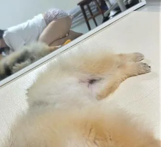 Heeheemoon OnlyFans Leaked Free Thumbnail Picture - #kaDb8T51iM