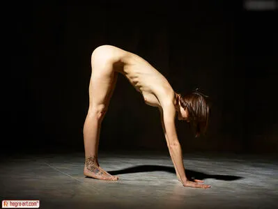 Hegre OnlyFans Leaked Free Thumbnail Picture - #apswo72CaC