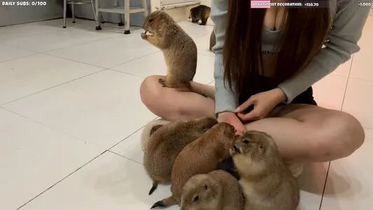 Hello Kiko OnlyFans Leaked Free Thumbnail Picture - #X8dirH4GNt