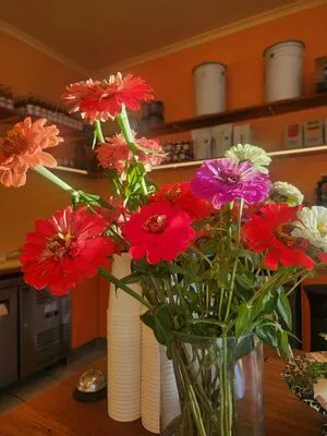 Helloeloise OnlyFans Leaked Free Thumbnail Picture - #7zL4TbhQkE