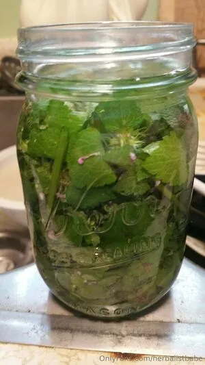 Herbalistbabe OnlyFans Leaked Free Thumbnail Picture - #0ib9nYrBYi