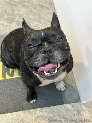 Hheadshhot OnlyFans Leaked Free Thumbnail Picture - #762kOHhRLO