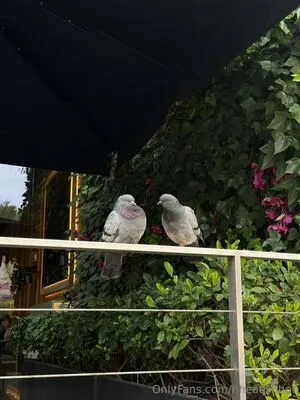 Hheadshhot OnlyFans Leaked Free Thumbnail Picture - #CKyeJI0evr