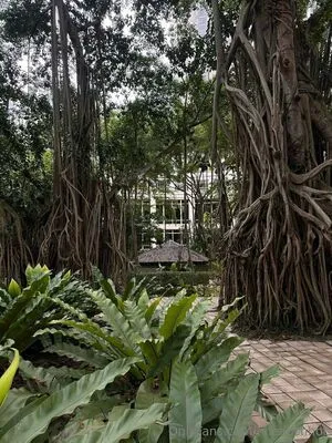 Hheadshhot OnlyFans Leaked Free Thumbnail Picture - #HKLDkHhRe7