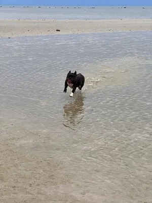 Hheadshhot OnlyFans Leaked Free Thumbnail Picture - #ydithWu2HE