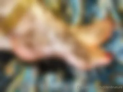 Hidden8nature OnlyFans Leaked Free Thumbnail Picture - #9PYfGuJ61h