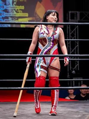 Hikaru Shida OnlyFans Leaked Free Thumbnail Picture - #6gZHFVNbGm