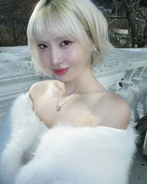 Hirai Momo OnlyFans Leaked Free Thumbnail Picture - #j4TaW38F5M
