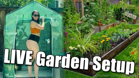 Hobbyafterdark OnlyFans Leaked Free Thumbnail Picture - #aGFAM0x3h3