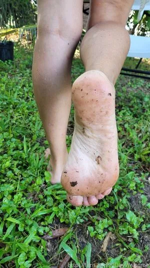 Holisticsensual OnlyFans Leaked Free Thumbnail Picture - #Gkq9QjSc8Y