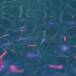 Holly Garner OnlyFans Leaked Free Thumbnail Picture - #Mk57Eb4qBB