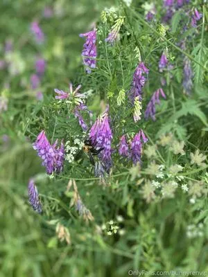 Honey Summers OnlyFans Leaked Free Thumbnail Picture - #y6OKLDjRZE