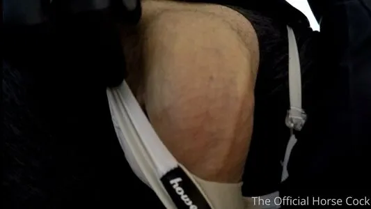 Horse Cock OnlyFans Leaked Free Thumbnail Picture - #SJ7754ZoGb