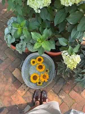 Hot Tatty OnlyFans Leaked Free Thumbnail Picture - #Kzt0ecnAZc